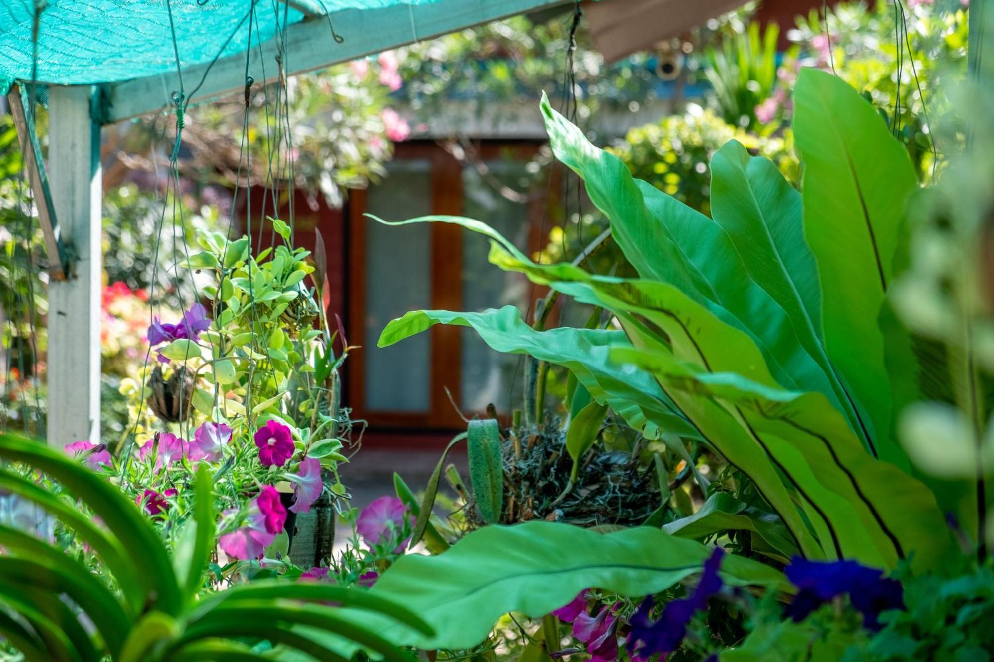 Thai Smile Bungalows Ко-Ланта Екстер'єр фото